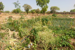 Kosmassoum1