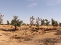 2017_01_29_mali_puits_orossogou_banco_003