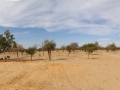2017_01_29_mali_puits_saraguina_005b