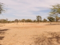 2017_01_29_mali_puits_saraguina_034a