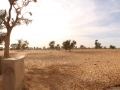 2017_01_29_mali_puitsorogourou_pano2_019