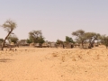 2017_02_02_mali_puits_seguemarra_peulh_057a