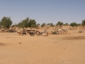 2017_02_03_mali_ecole__sorou_013a